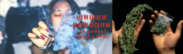 мяу мяу мука Магас